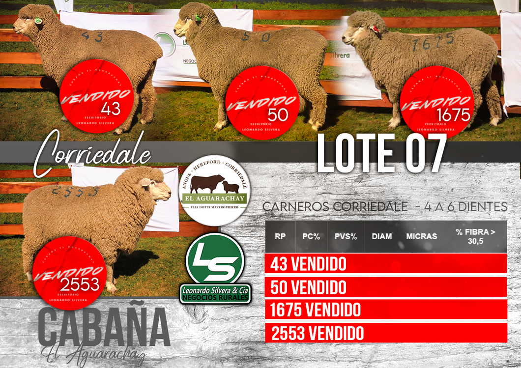 Lote LOTE 07