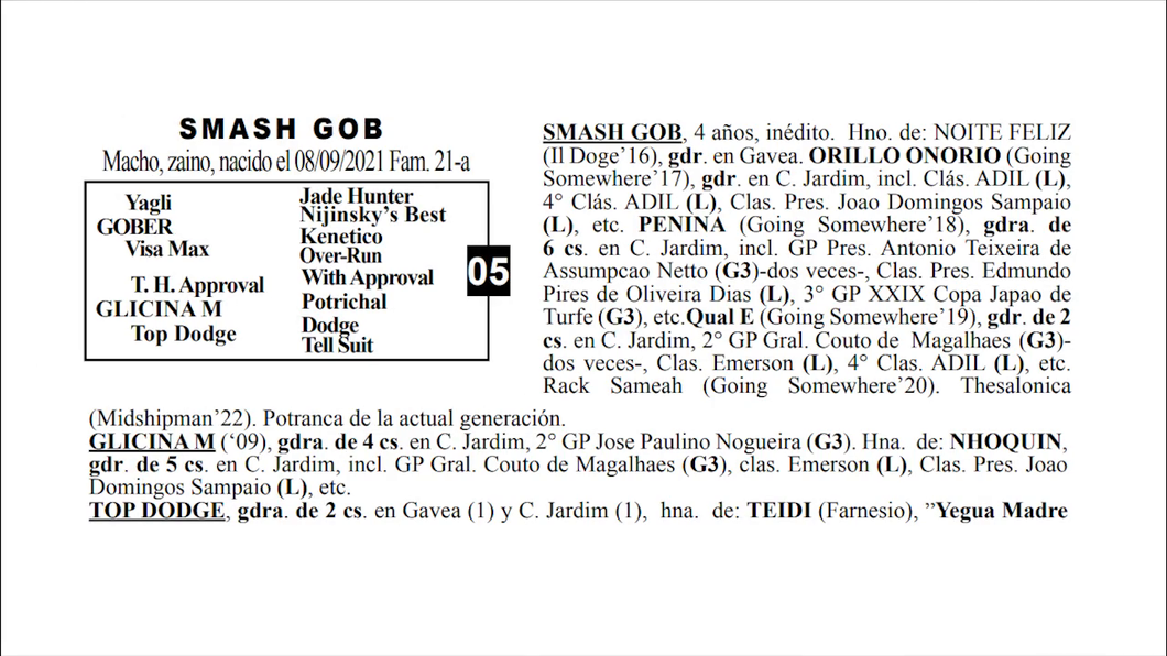 Lote SMASH GOB