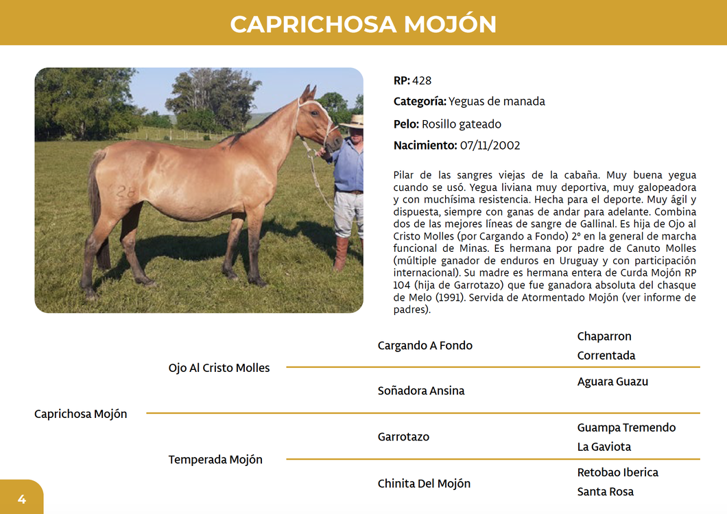 Lote Caprichosa Mojón (RP 428)