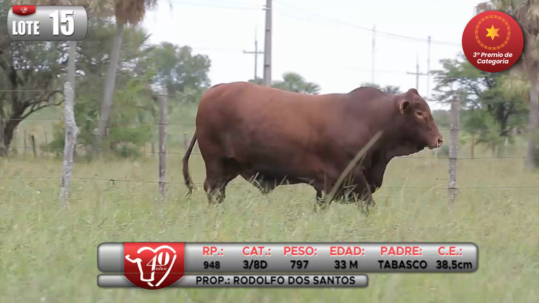 Lote LOTE 15