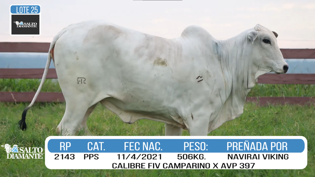 Lote LOTE 25