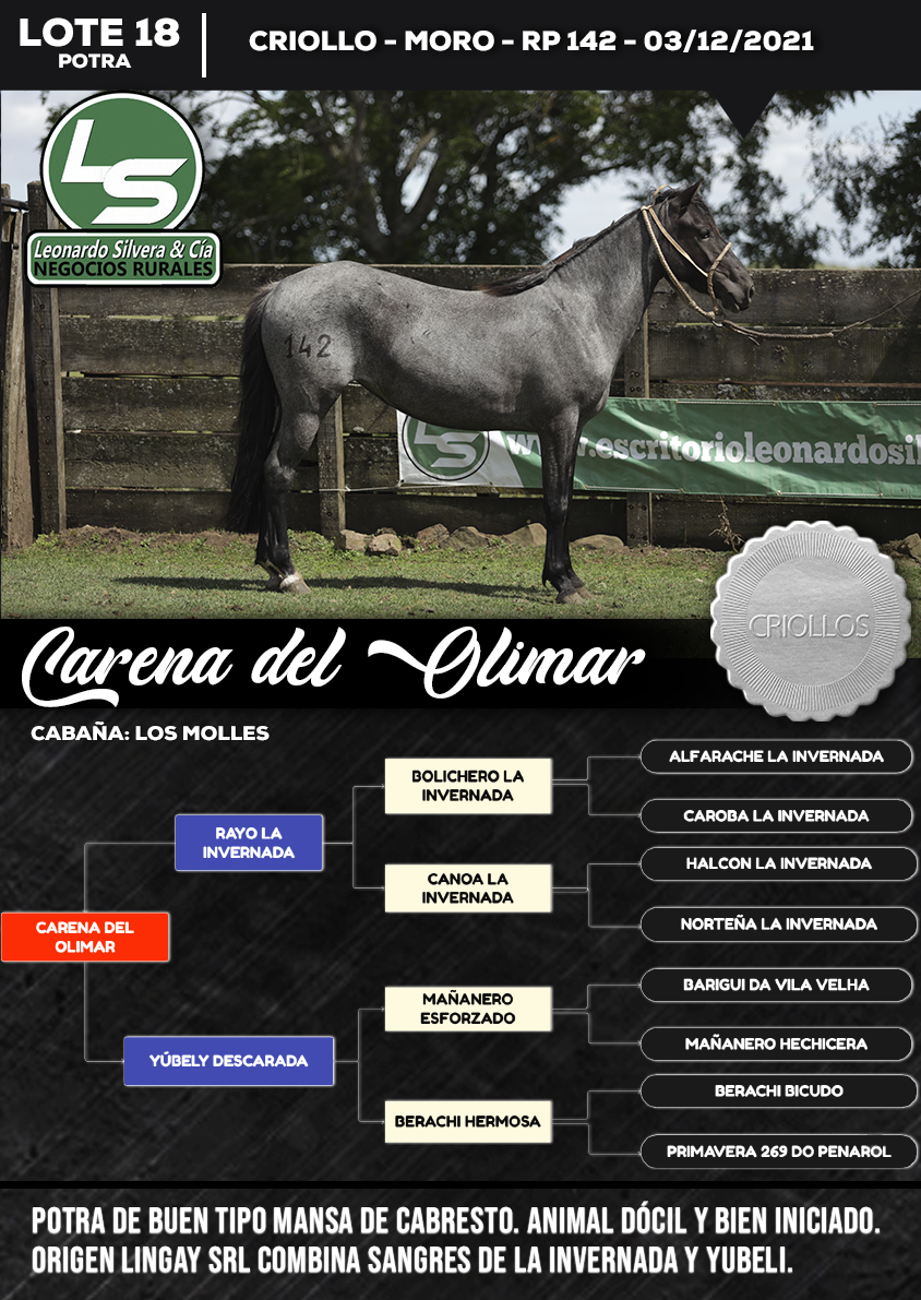 Lote CARENA DEL OLIMAR