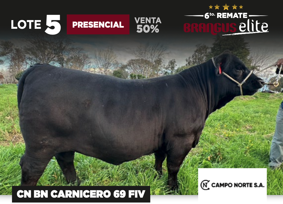 Lote CN BN CARNICERO 69 FIV - CAMPO DEL NORTE SA