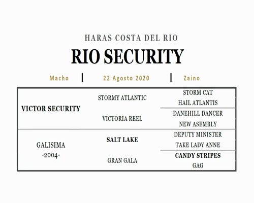 Lote RIO SECURITY (VICTOR SECURITY - GALISIMA)