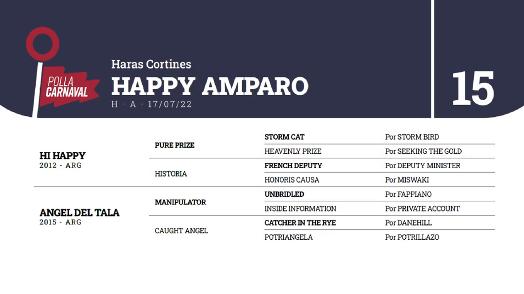 Lote HAPPY AMPARO