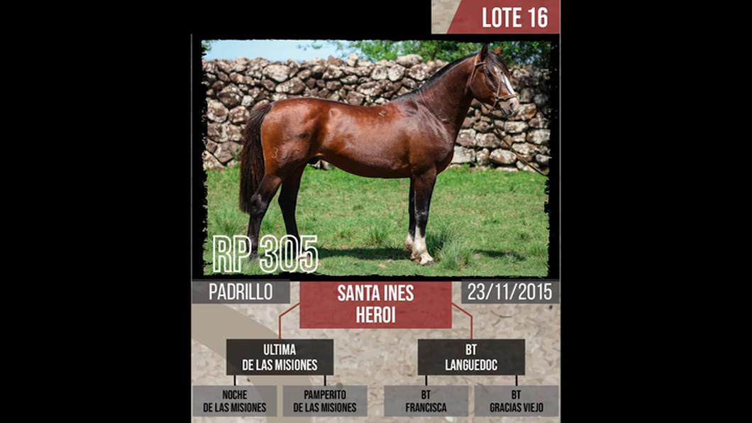 Lote Santa ines  heroi