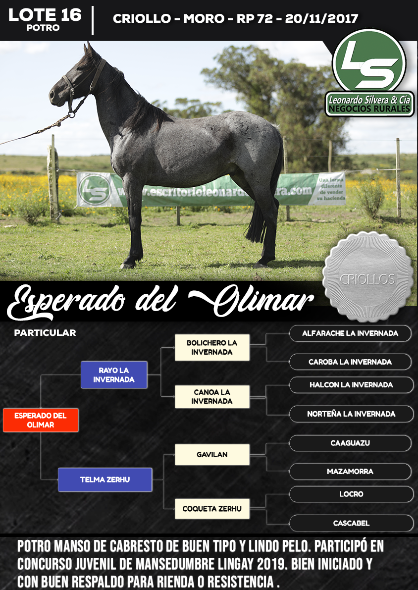 Lote ESPERADO DEL OLIMAR