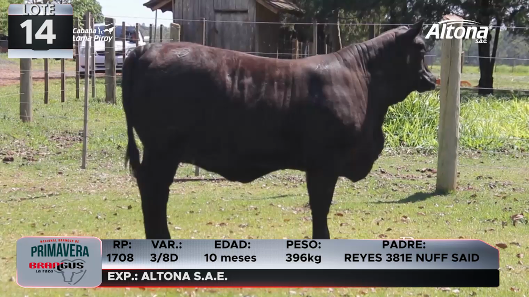 Lote LOTE 14