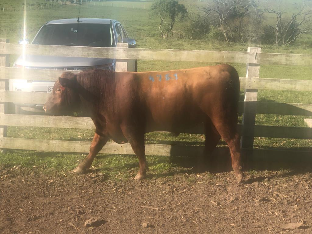Lote LOTE 10