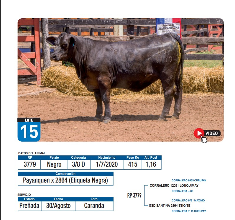 Lote Payanquen x 2864 (Etiqueta Negra)