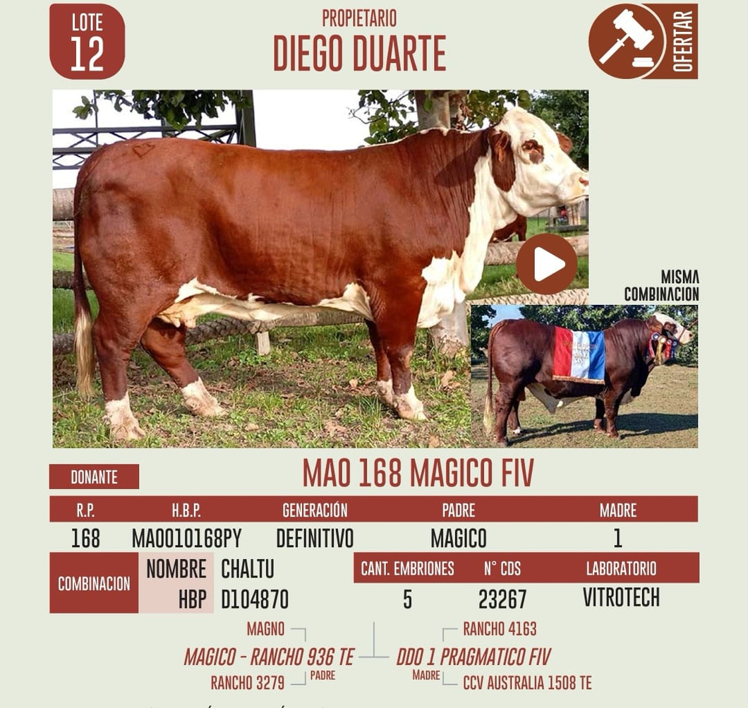 Lote LOTE 12