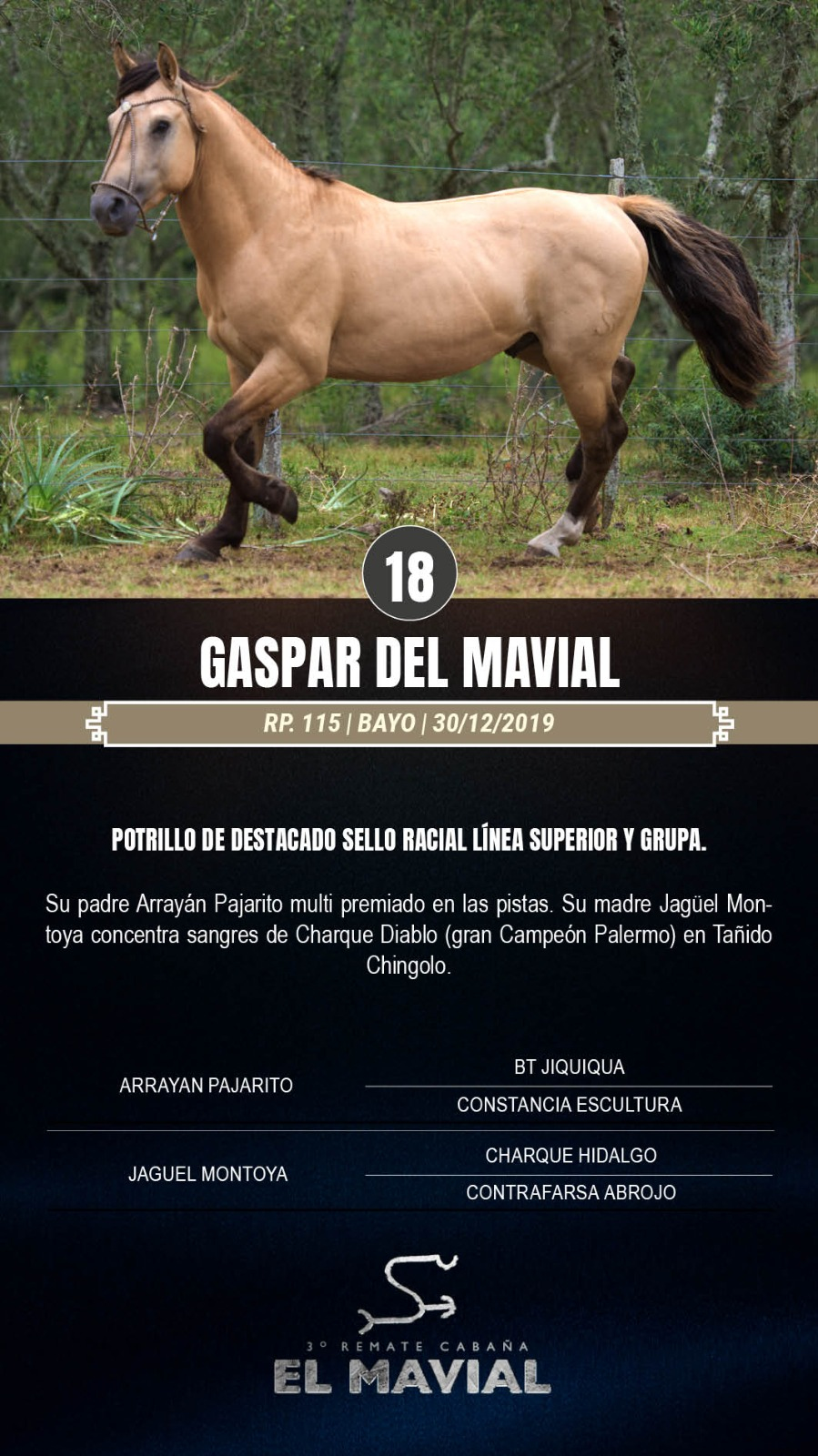 Lote Gaspar del Mavial