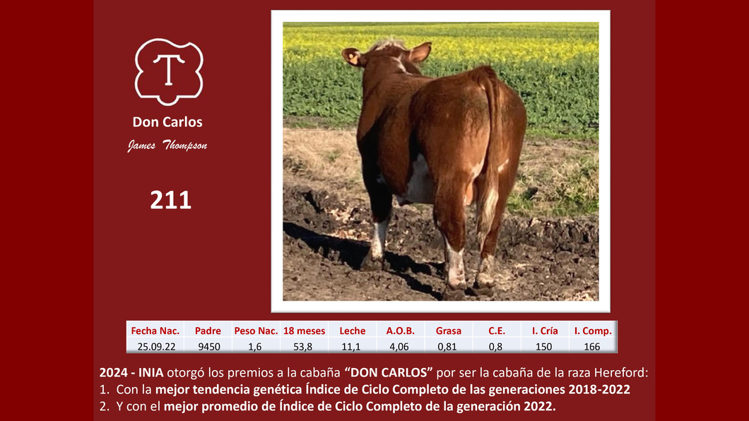 Lote Don Carlos