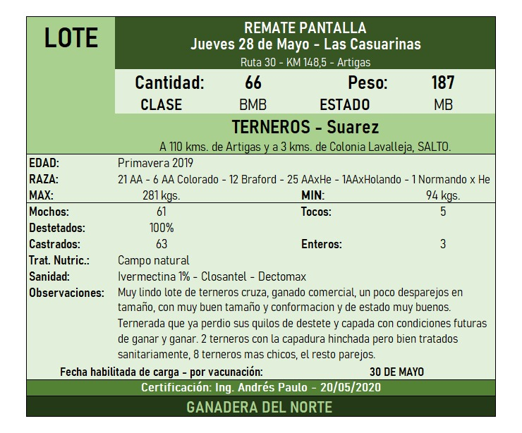 Lote 66 Terneros en Colonia Lavalleja, Salto