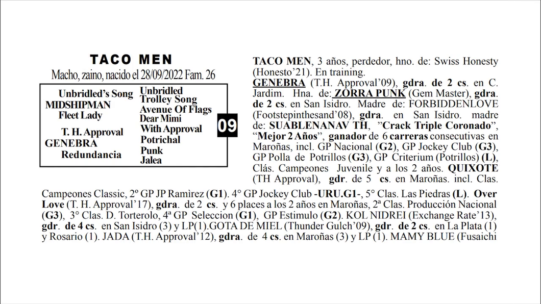 Lote TACO MEN