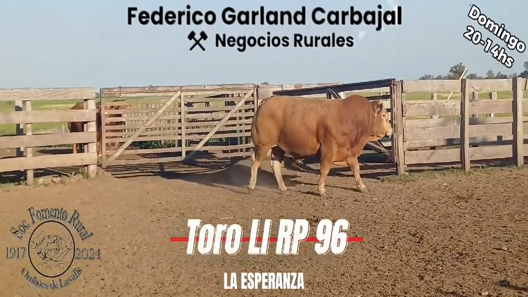 Lote TORO PI