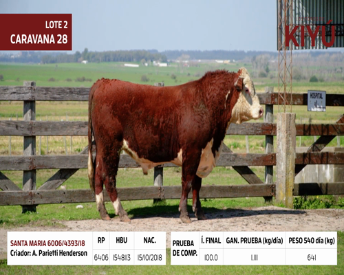 Lote SANTA MARIA 6006/4393/18