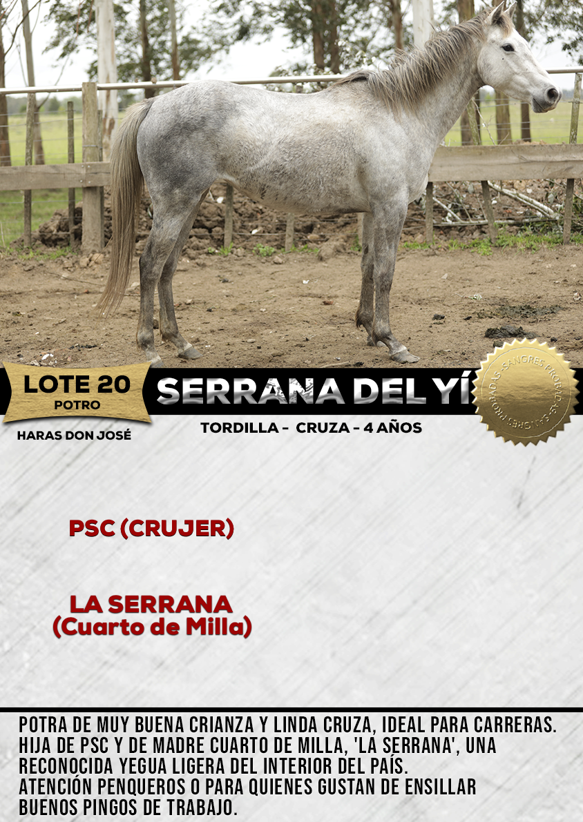 Lote SERRANA DEL YÍ