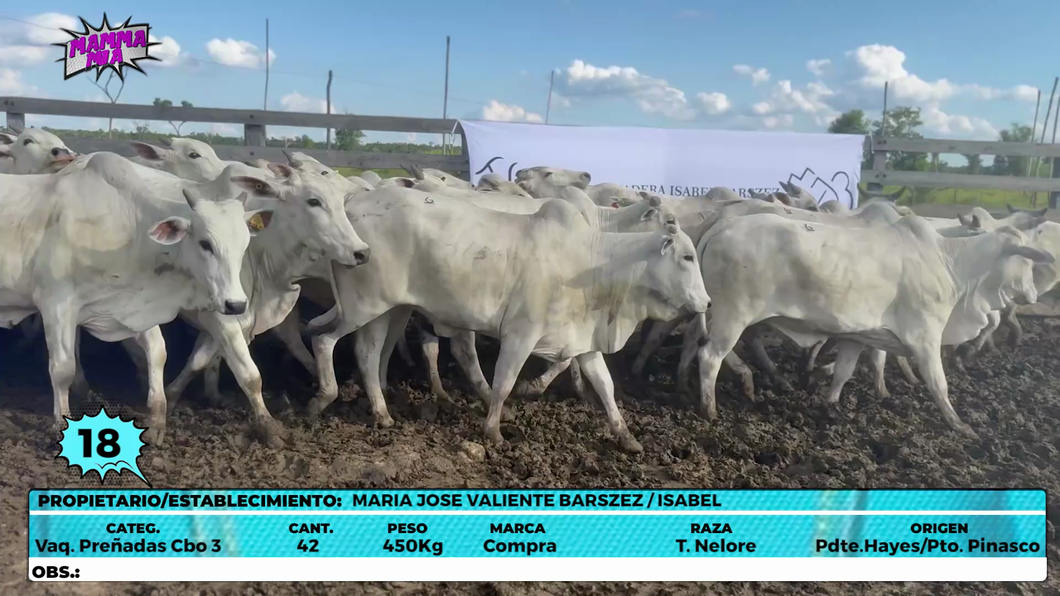 Lote LOTE 18