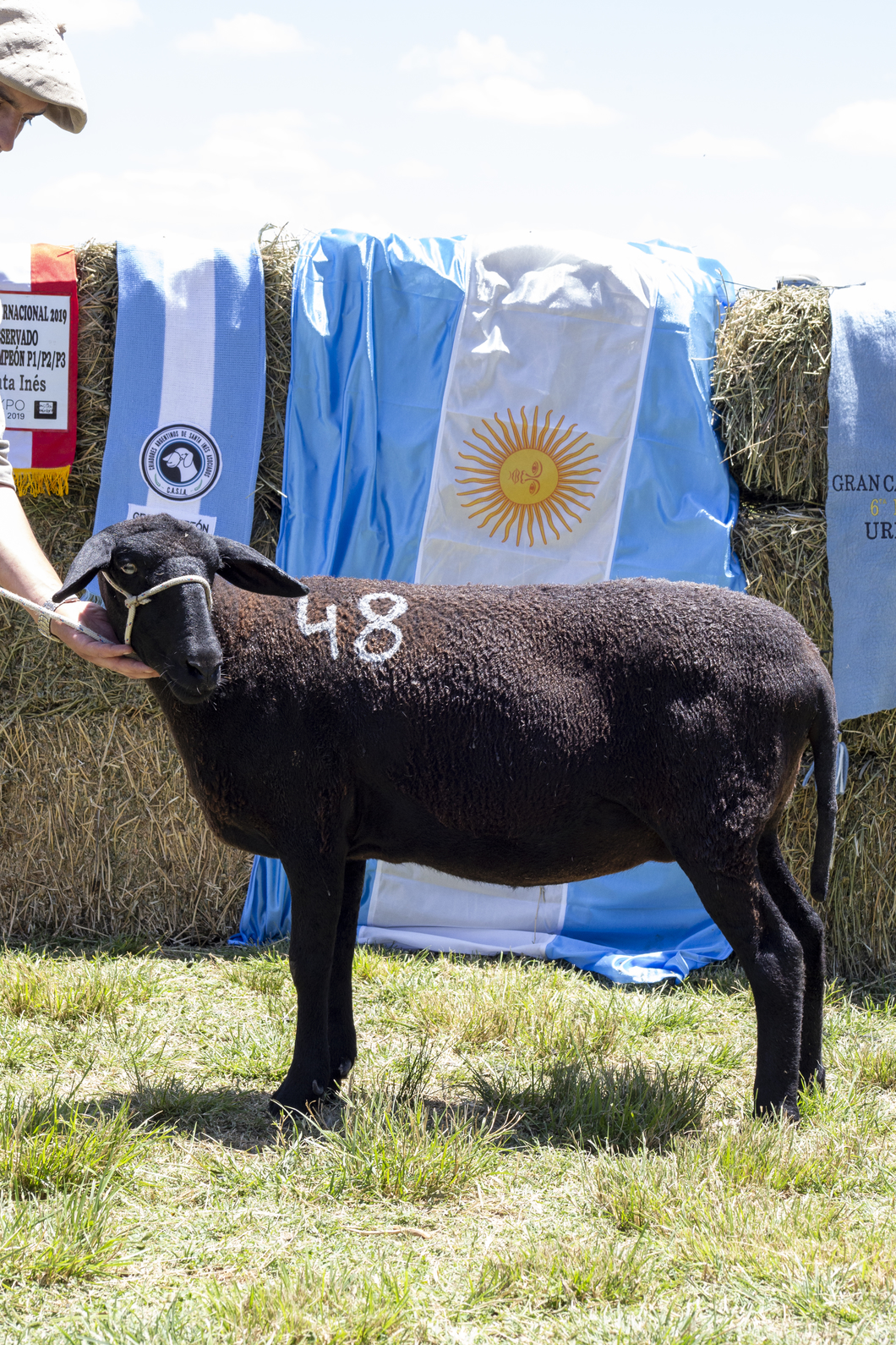 Lote SANTA INES P.P.C.