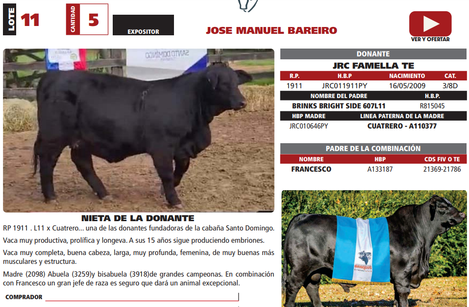 Lote LOTE 11