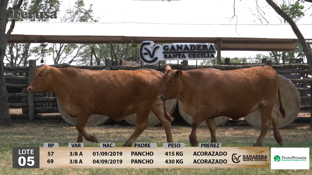 Lote Ganadera Santa Cecilia - Lote 5