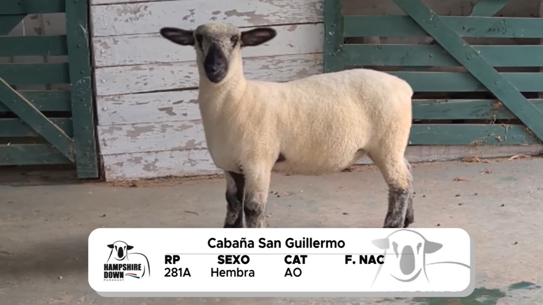 Lote LOTE 12 A CAMPO - RP 281A