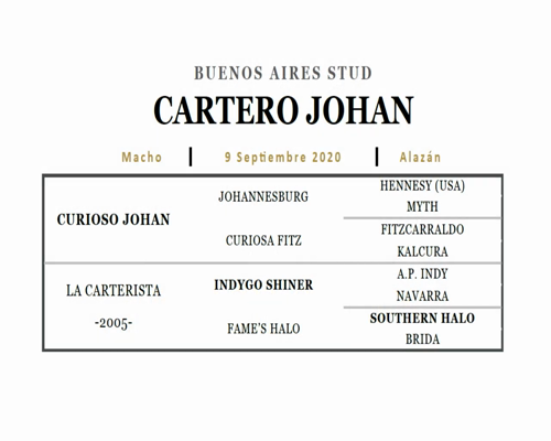 Lote CARTERO JOHAN (CURIOSO JOHAN - LA CARTERISTA)