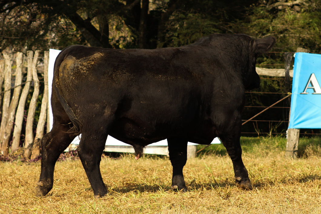 Lote CABAÑA COEMBOTÁ: RP 252