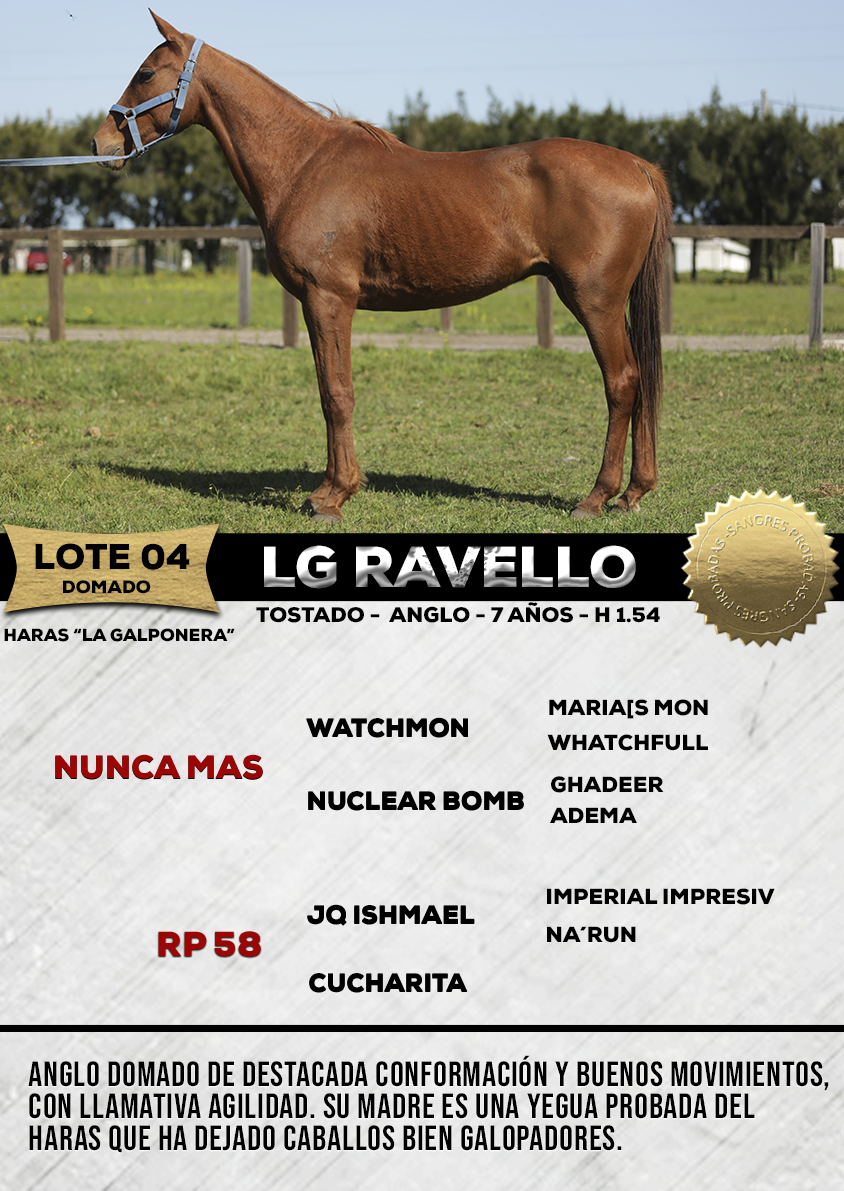 Lote LG RAVELLO