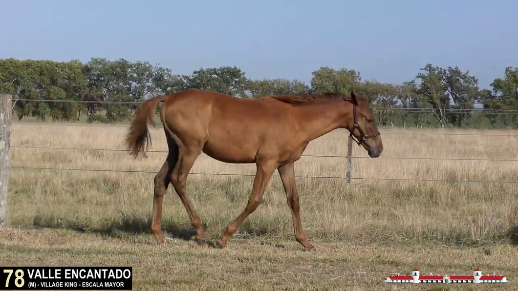 Lote VALLE ENCANTADO