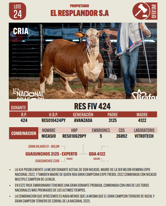 Lote LOTE 24