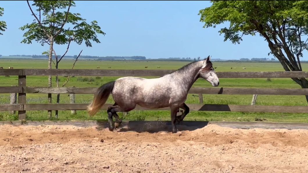 Lote Cañada Linda Moza