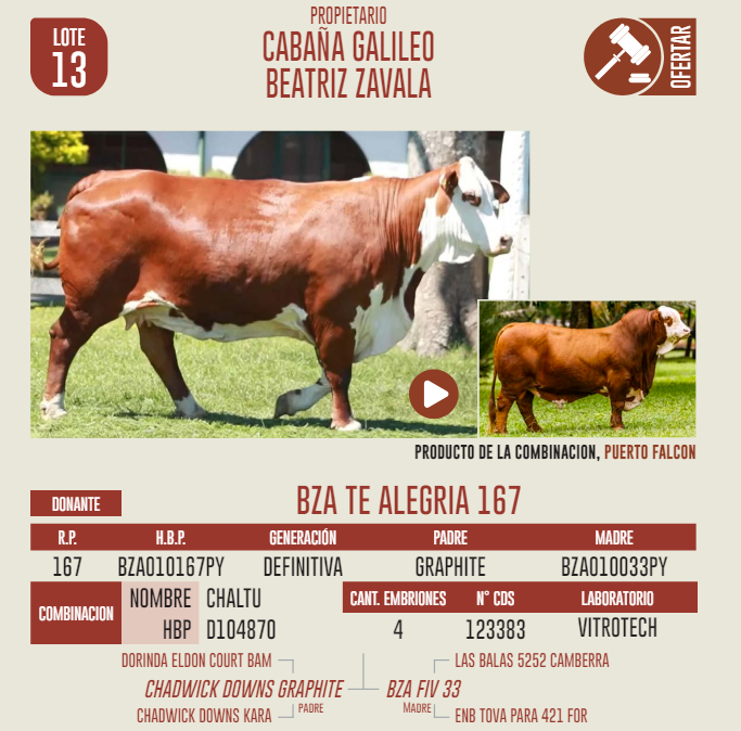 Lote LOTE 13