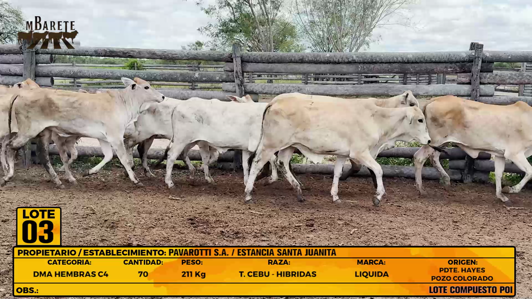 Lote LOTE 3