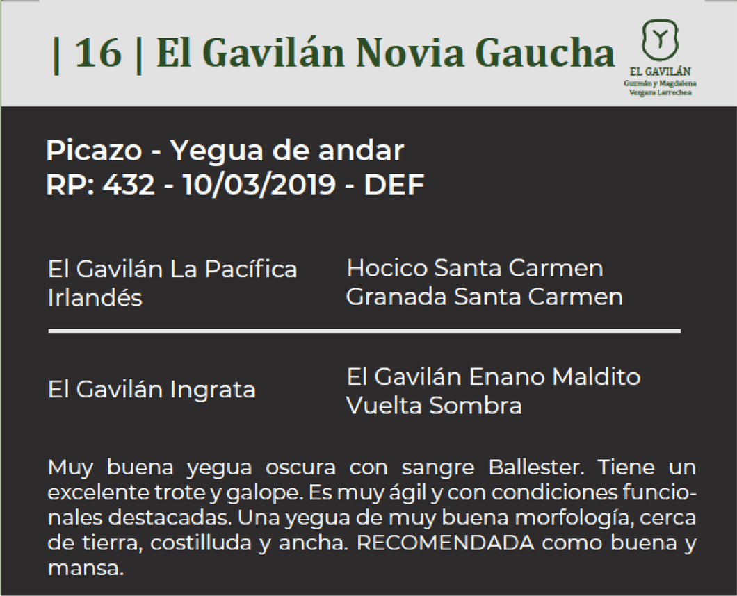 Lote El Gavilán Novia Gaucha (RP 432) Cabaña "El Gavilán"