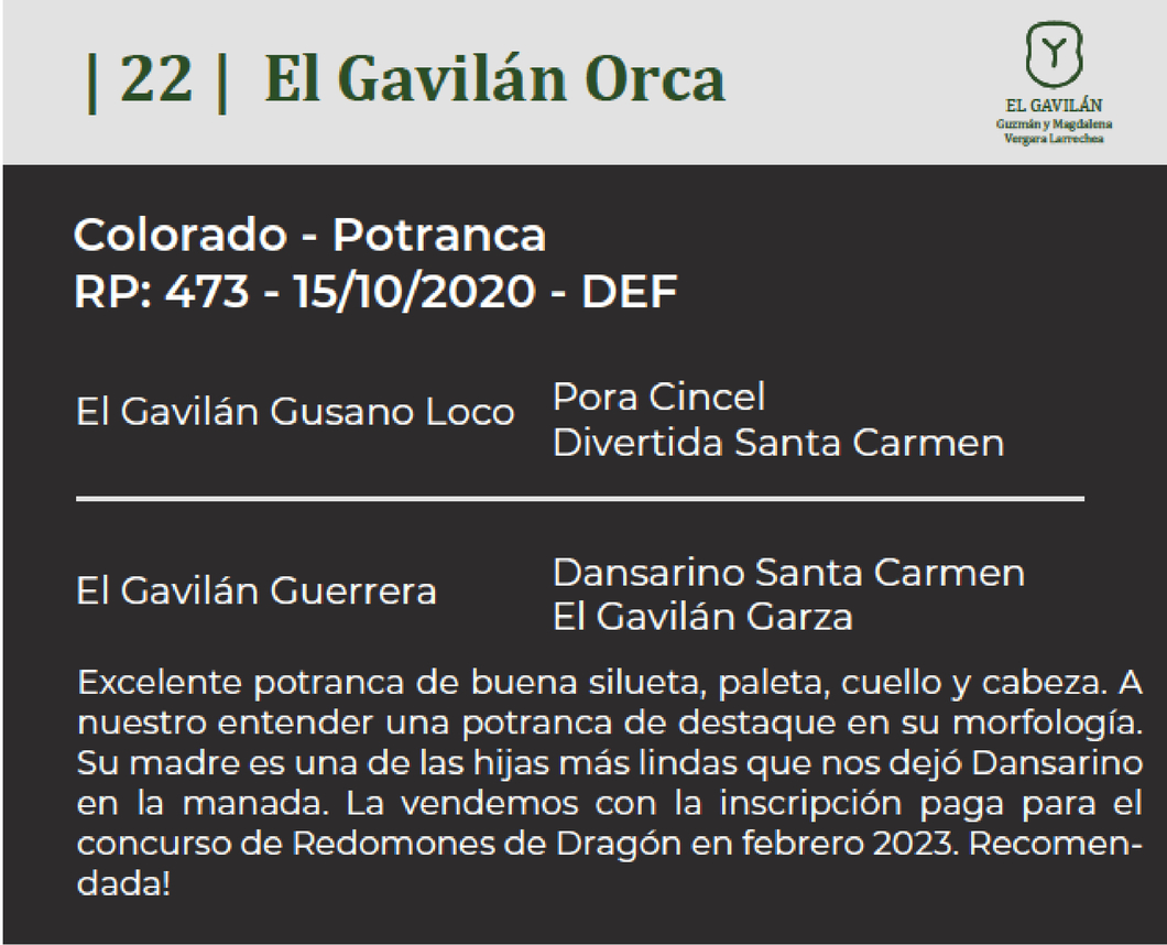 Lote El Gavilán Orca (RP 473) Cabaña "El Gavilán"