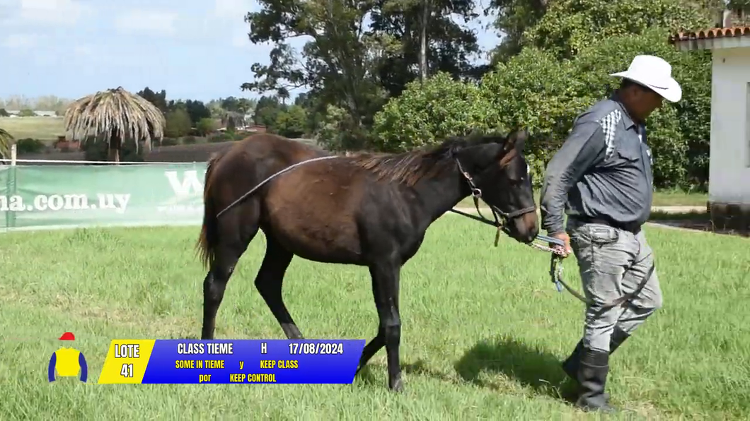 Lote CLASS TIEME