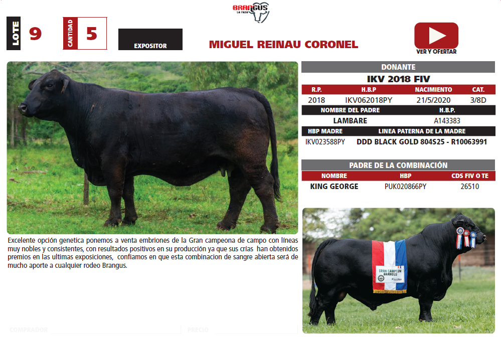 Lote LOTE 9