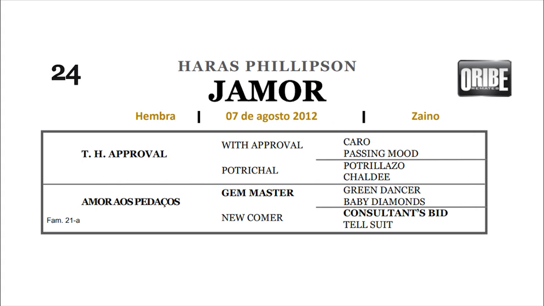 Lote JAMOR