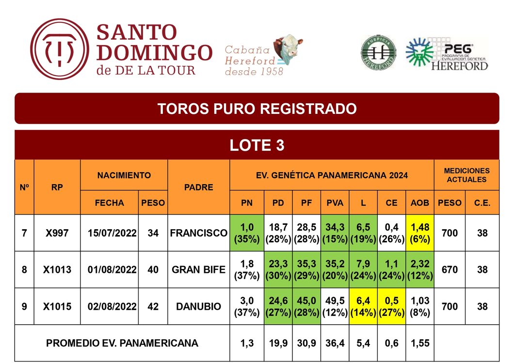 Lote TOROS PP