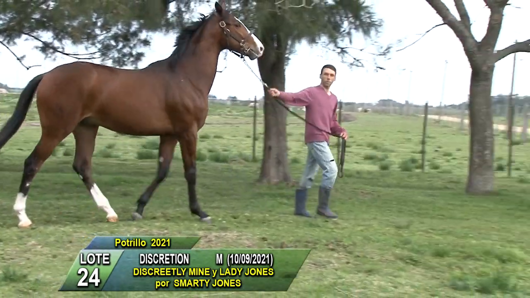 Lote DISCRETION