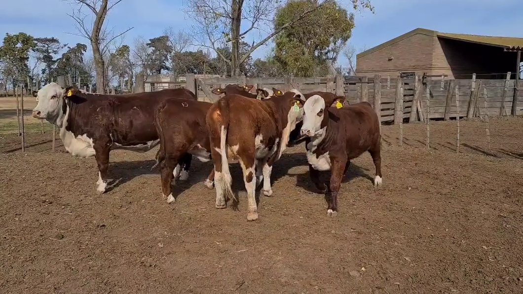 Lote CABAÑA LA ESPERANZA