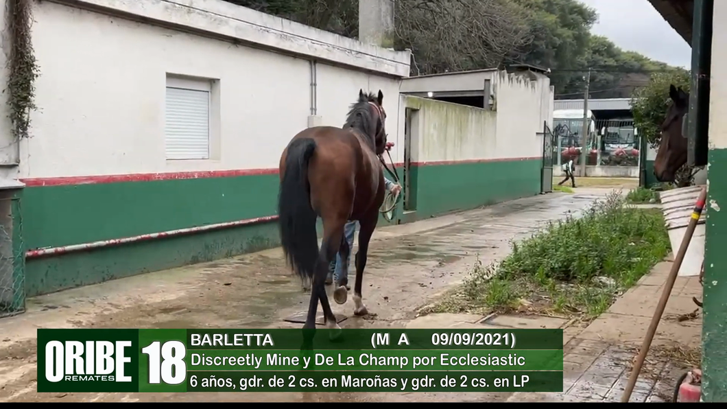 Lote Lote 18