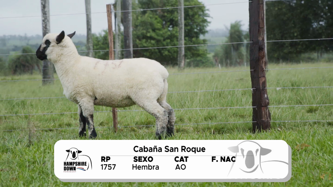 Lote LOTE 8 A CAMPO - RP 1757