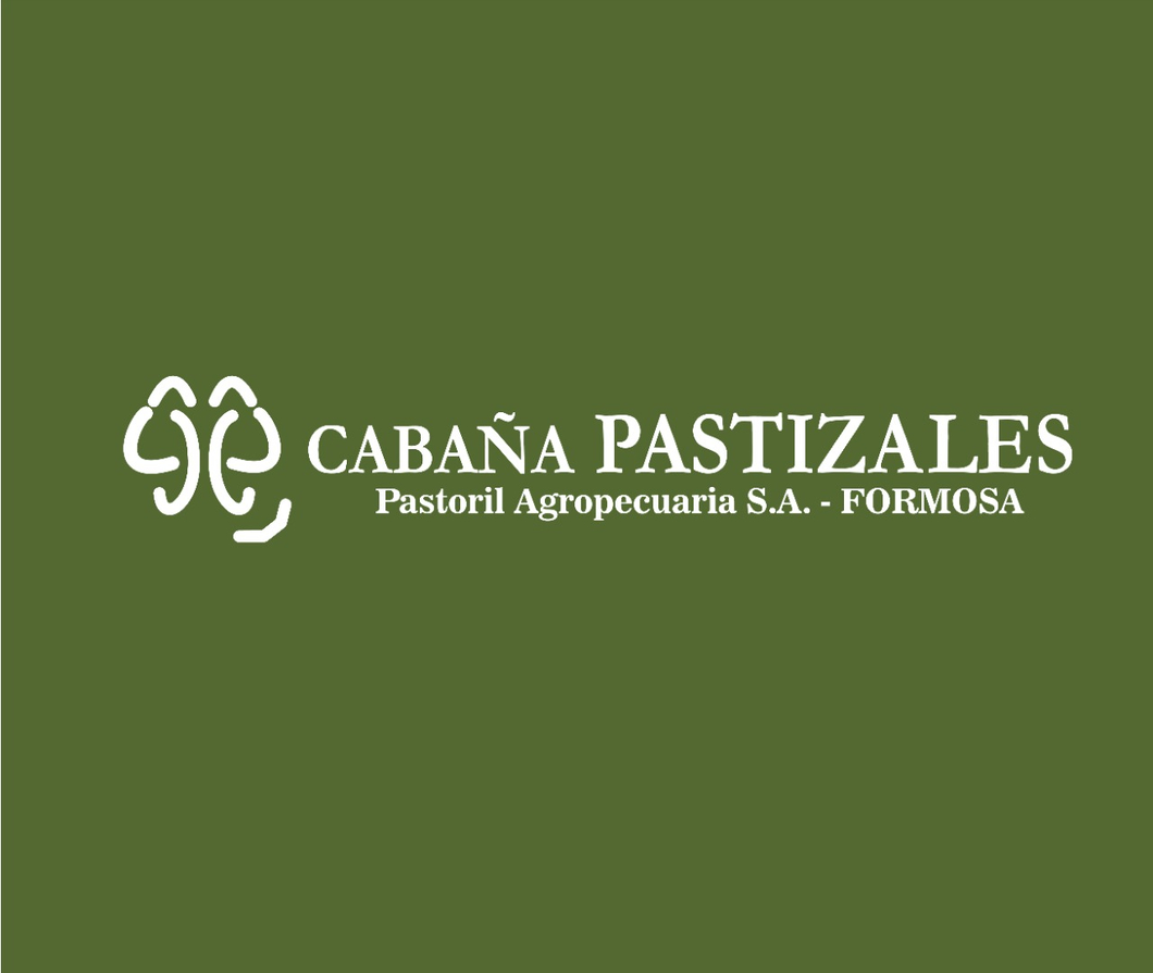 Lote GATEADO OVERO CORRAL 47