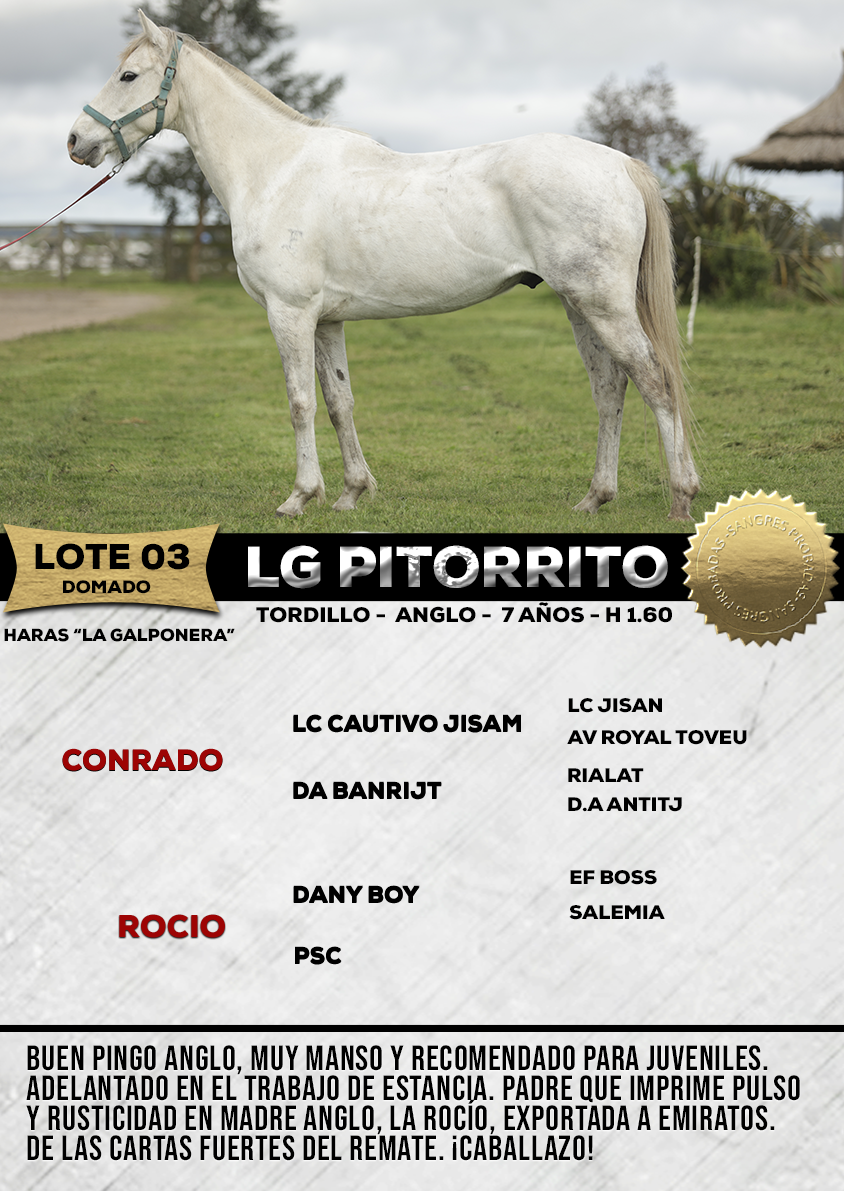 Lote LG PITORRITO