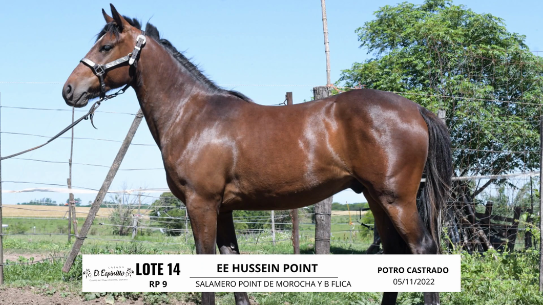 Lote EE HUSSEIN POINT