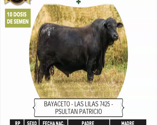 Lote BAYACETO - LAS LILAS 7425 - PSULTAN PATRICIO