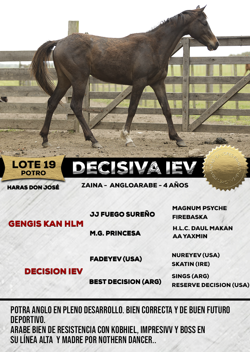 Lote DECISIVA IEV